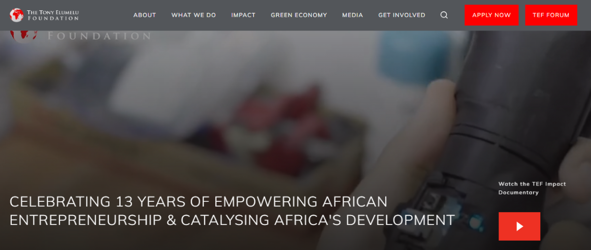 Tony Elumelu Foundation Entrepreneurship Programme