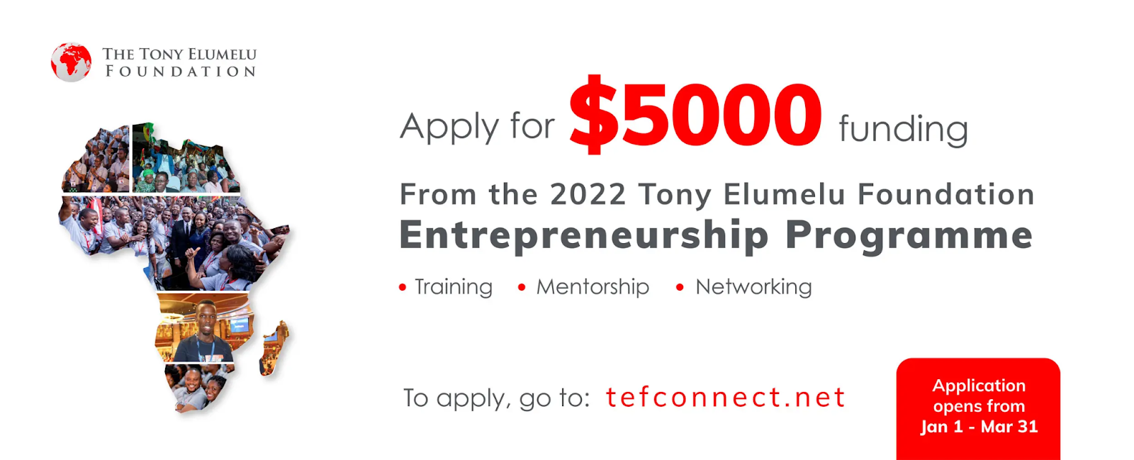 Tony Elumelu Foundation offers grant funding opportunities for agribusiness entrepreneurs in Nigeria