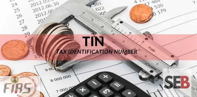 How to get a Tax Identification number in Nigeria