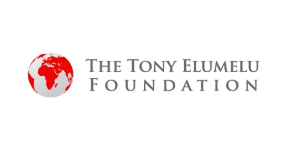 Tony Elumelu Foundation Entrepreneurship Programme: Everything You Need to Know