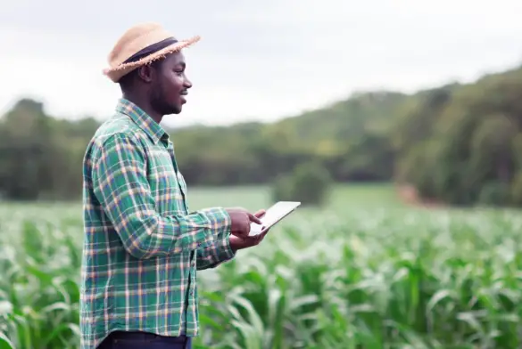Top Agriculture Business Grants In Nigeria
